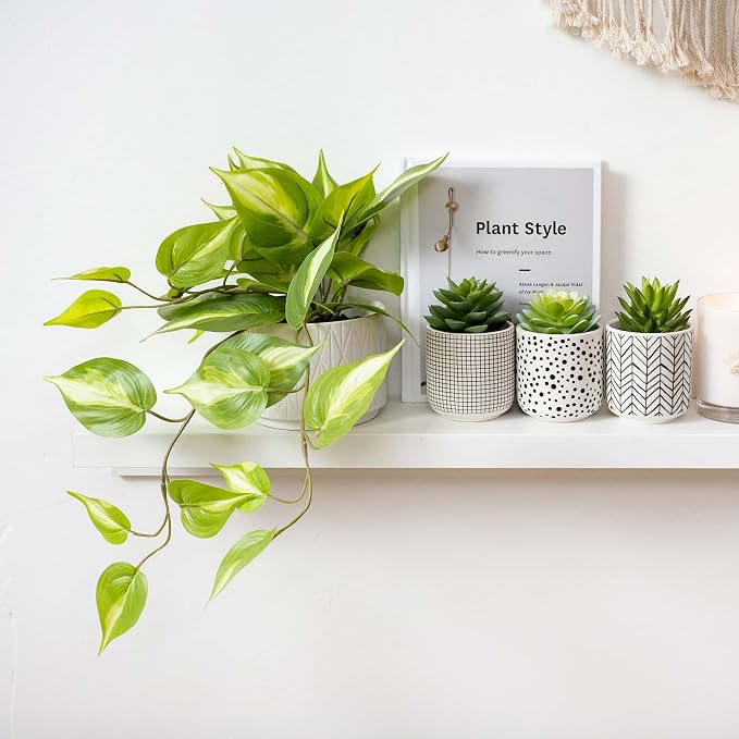 Kurrajong Farmhouse Light Green Fake pothos Plant | Fake Plant for Shelf Decor | Artificial Trailing Ivy Plant with 5" Wide Ceramic Pot | Faux pothos | Feaux Pothos