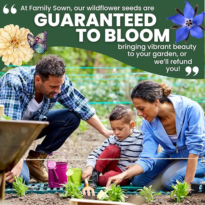 Borage – 1,000 Seeds for Planting – 2026 Season – 1 Ounce Pouch