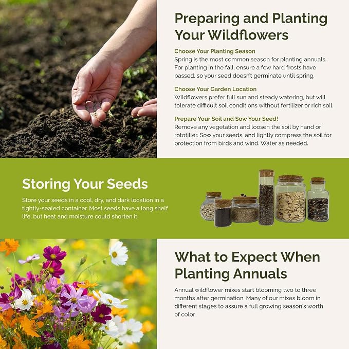 Eden Brothers All Annual Wildflower Mixed Seeds for Planting, 1 oz, Seeds with Sunflower, Indian Blanket, Scarlet Flax | Attracts Pollinators, Plant in Spring, Zones 3, 4, 5, 6, 7, 8, 9, 10