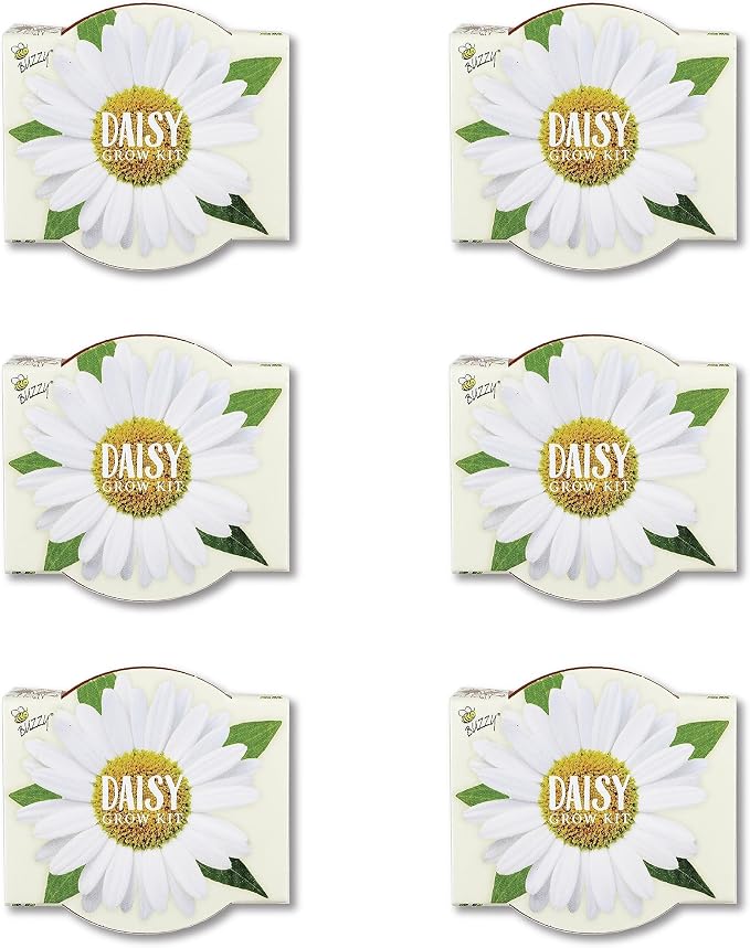 BUZZY Seeds Daisy Daydream Collection Grow Kit 6-Pack - Mini Terracotta Pot Grow Set - 100% Grow Guarantee