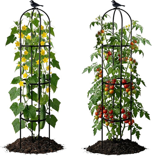 2 Pack Garden Obelisk Trellis for Climbing Plants, 6FT Plant Cages and Supports, Tomato Cage Tall Plant Stakes Indoor & Outdoor, Trellis for Potted Plants, Vegetables, Fruits, Flowers, Pots, Vines