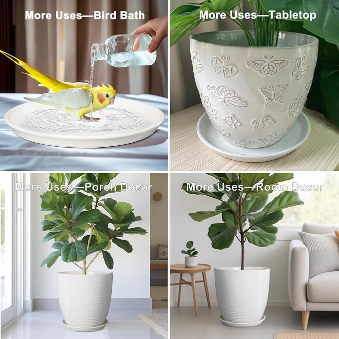 Plant Water Catcher Trays - Ceramic Plant Saucers 12 Inch Plant Trays for Indoors No Holes Plant Drip Trays Drainage Decorative Flower Pot Saucers Large Plant Dishes 2 Pack White