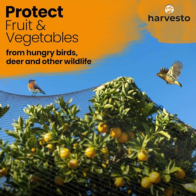 Harvesto Heavy Duty Bird Netting for Chicken Coops & Runs | Tree & Garden Netting Mesh 1-1/2" | Keep Hawks, Birds & Predators Away | Bird Netting for Blueberry Bushes, Vegetables & Fruit (50' x 50’)
