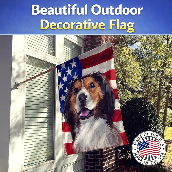 Caroline's Treasures CK6595CHF Kooikerhondje American Flag House Flag Large Porch Sleeve Pole Decorative Outside Yard Banner Artwork Wall Hanging, Polyester, House Size, Multicolor