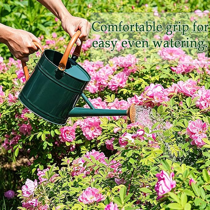 Metal Watering Can for Plants,Watering Cans for Outdoor&Indoor Gardening, Galvanized Steel Water Can with Removable Spout,Watering Pot with Ergonomic Movable Handle(Green)