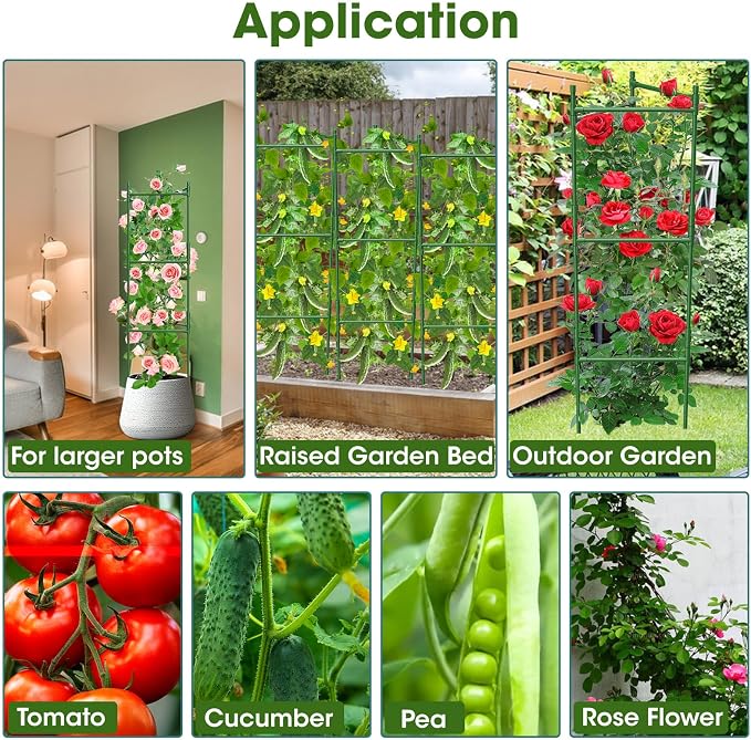 6 Pack Tomato Cage,Tomato Cage for Raised Garden Bed, 48'' Tall Tomato TrellisTriangle or Square Cages for Garden,Pots, Plant Cages & Supports（Green, Extra Bold ）