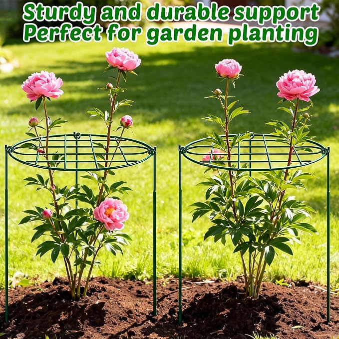 6 Pack 16 x 24 inch Peony Cages and Supports,Metal Grow Through Plant Supports for Outdoor Plants,Flowers Support Rings Top-Heavy Plant Brace Support Hoop for Vegetables,Rose,Tomato,Orchids