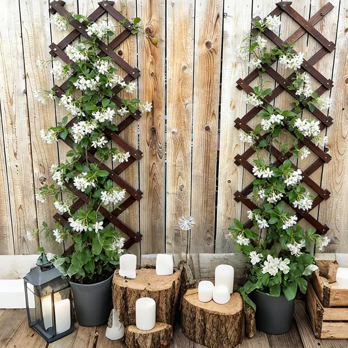 4Pcs Expandable Garden Trellis, 13" x 68" Thickened Wooden Lattice Trellis for Climbing Plants Outdoor Ivy Vine Rose Clematis for Garden Fence Wall Patio Room Decor (4Pcs Brown)