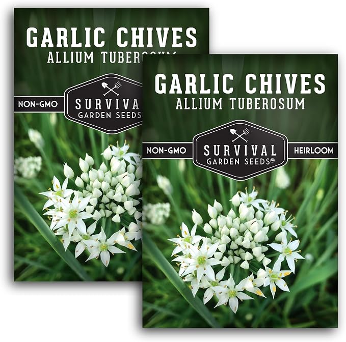Garlic Chives Seeds for Planting - Heirloom Perennial Chinese Herb - Survival Garden Seeds (2 Packs)