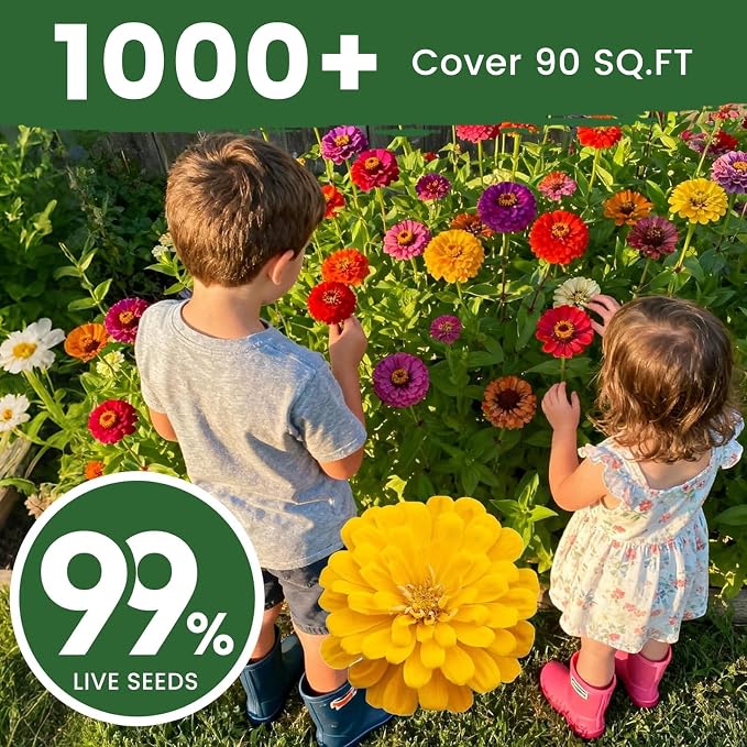 1000+ Zinnia Dahlia Seeds Flower Seeds for 2026 Planting, 0.35 Oz, 5 Varieties (Pink, Yellow, Orange, White, Purple), 10G Mixed Colors and Large Blooms, Open Pollinated - Bulk
