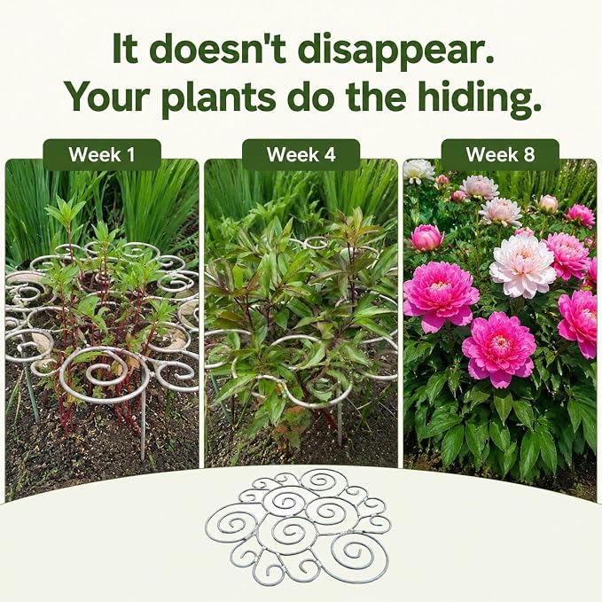 Metal Plant Support Ring for Garden, Heavy Duty Rustproof Flower Support Stakes for Top Heavy Plants, Decorative Outdoor/Indoor Grow Through Cage for Peony, Tomato, Clump-Forming Flowers (Small)
