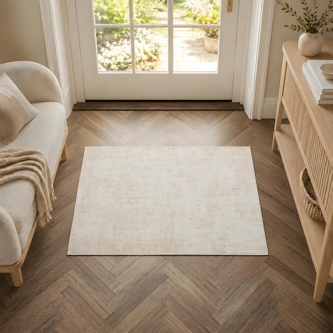 2x3 Area Rug Washable Abstract: Non Slip Throw Rugs for Entryway | Indoor Door Mat for Kitchen Soft Low Pile Thin Small Carpet for Hallway Bedroom Dining Room Home Office Decor