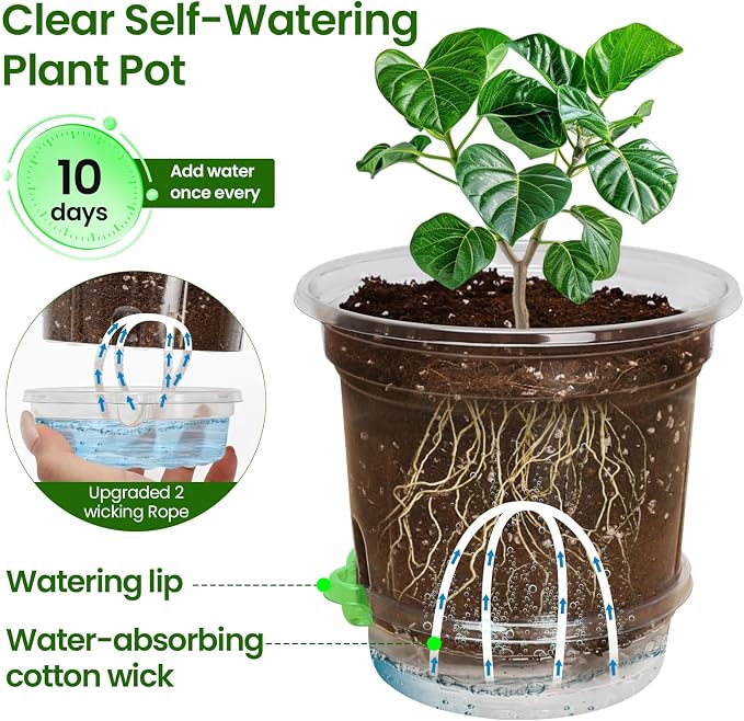 MIXC 12 Packs 6.5 Inch Self Watering Pots for Indoor Plants - Clear Nursery Plant Pots with Drainage, Deep Visible Reservoir - Flower Planter Outdoor with Wicking Rope