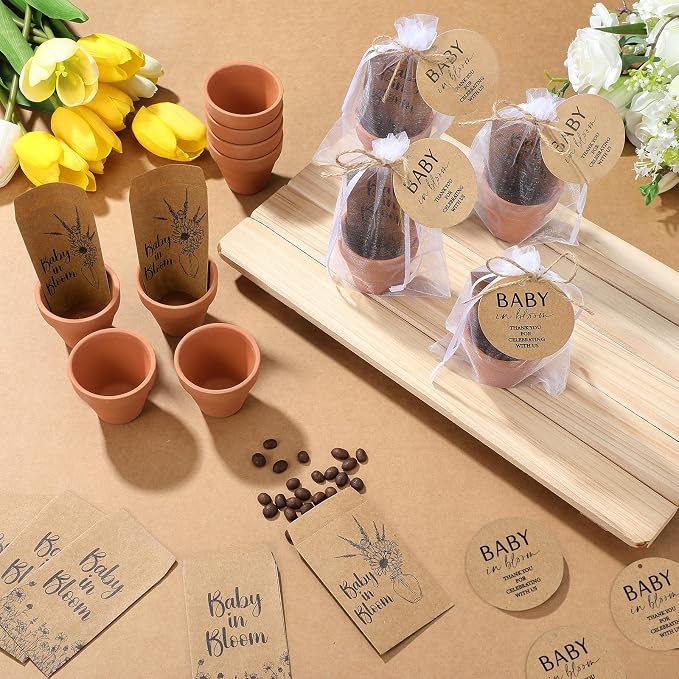 Reallnaive Baby Shower Party Favors Baby in Bloom Envelopes Seed Packets Include 24 Mini Terracotta Pots Seed Packets 24 Self Adhesive Envelopes Thank You Tags Gifts for Party(Kraft Paper)