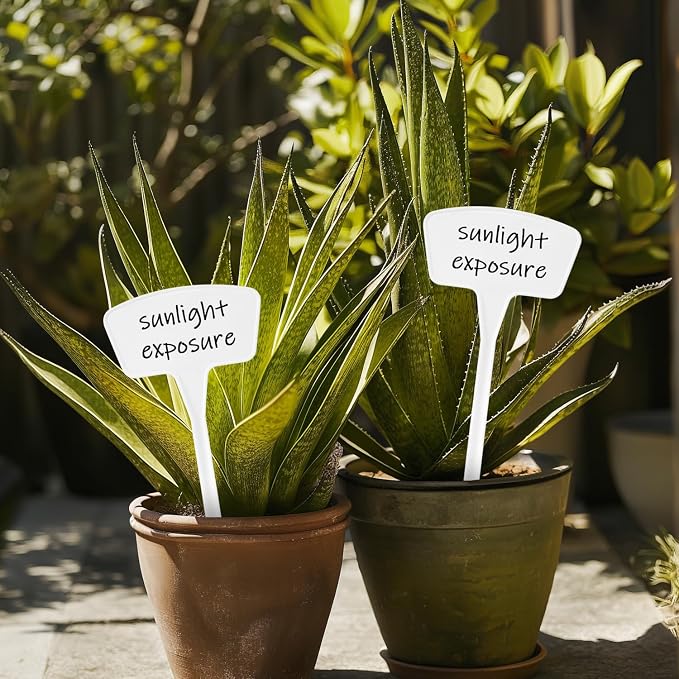 Plant Labels 60 Pcs Yuanling Plant Markers Large Plastic Plant Tags T-Type Waterproof Garden Labels for Outdoor Indoor Potted Plants Flowers Seeds Herbs Belt Garden Marker Pen (White)