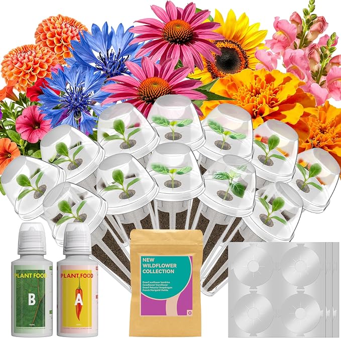 12 Pods Flower Seed Pods for AeroGarden, Ahopegarden, iDOO, MUFGA Hydroponics Growing System Indoor Gardening, 400+ Seeds, Dwarf Sunflower Bambino, French Marigold, Dahlia, Dwarf Petunia
