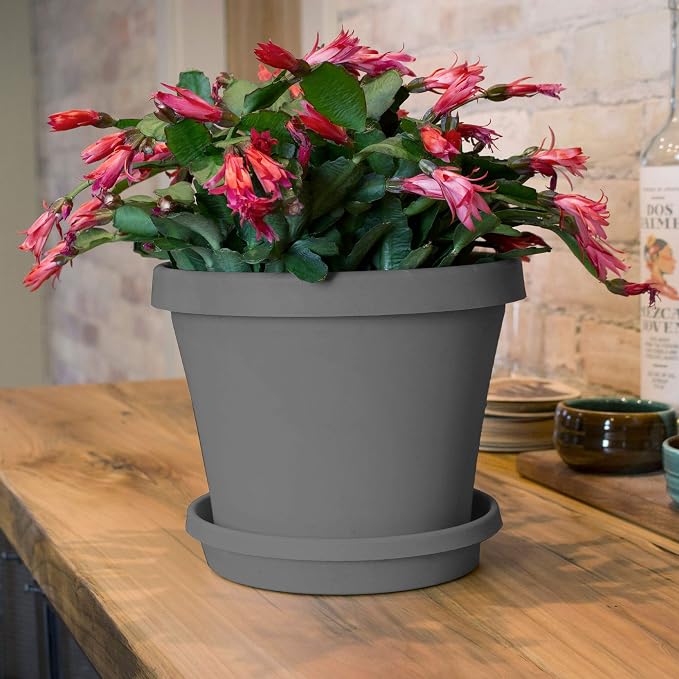 Bloem 10" Terra Round Plant Saucer, Lightweight UV-Resistant Resin Outdoor & Indoor Flower Pot Tray - Fits 10-inch Planter Pots, Charcoal Gray
