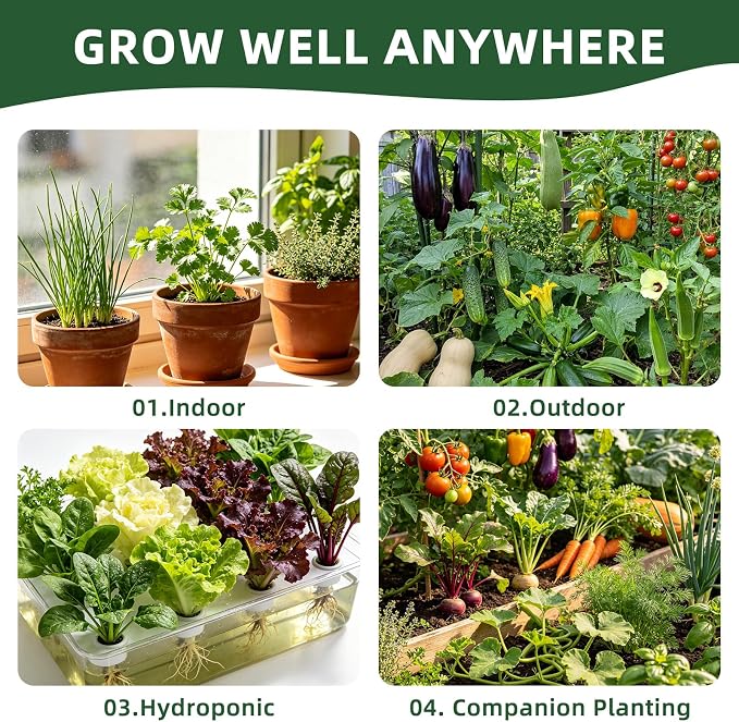 25 Vegetable Seeds Variety Pack, 21,000+ Garden Seed Vault Kit with Planting Tools, Easy to Grow for Hydroponic, Indoor & Outdoor Year-Round Home Gardening
