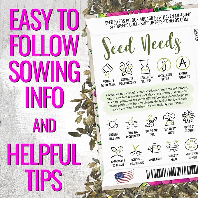 Seed Needs Zinnia Seeds Violet Queen Fast Blooming 5,000 Seeds Bulk Pack