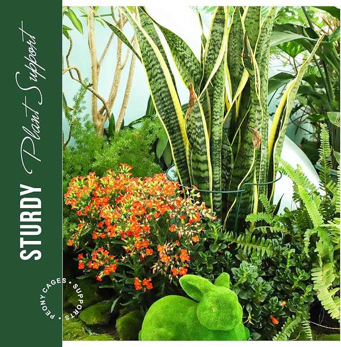 LEOBRO Plant Support Plant Stakes, 12pcs Peony Cages and Supports, Metal Garden Stakes Plant Supports, Plant Support Stakes, for Peony, Tomato, Hydrangea, Indoor Outdoor Plants, 10" W x 15.8" H