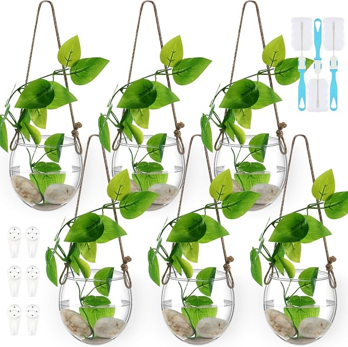 6 Pcs Wall Hanging Planter Glass Plant Pot Water Terrarium Containers Wall Vases for Flowers Air Hydroponic Propagation Glass Plant Holder Home Room Window Office(Oblate)