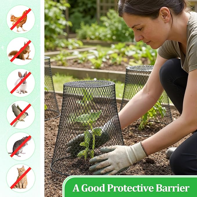 Therwen 10 Pcs Large Plant Wire Cloche 11 x 12 Inch Metal Garden Cloche with Garden Stakes Plant Protector from Animals for Keeping Bunnies Chicken Squirrels Birds (Black)