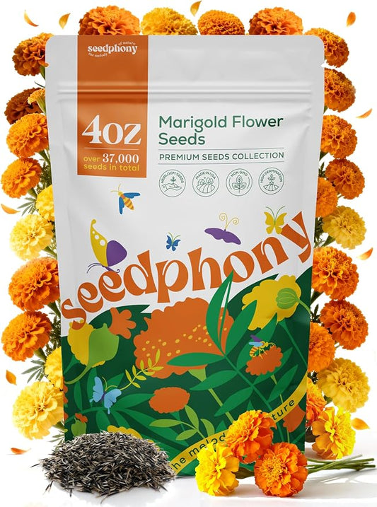 Seedphony Marigold Seeds Pack 4 oz - 37,000 Non-GMO Heirloom Marigold Seeds for Planting, Perennial Flowers in Waterproof Seed Packet, Wildflower Seeds for Planting Garden Indoor & Outdoor Gardening