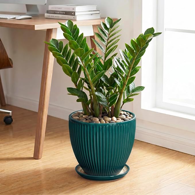 10 Inch Flower Pot, Round Ceramic Planters for Indoor Plants, Decorative Plant Pots with Drainage Hole and Saucer, Modern Large Planter, Office Decor, House Warming Gifts, Blackish Green