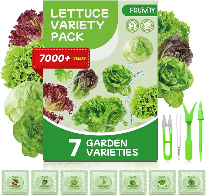 7 Variety Mix Lettuce Seeds - 7000+ Heirloom Lettuce Seeds for Planting Including Romaine, Butter Lettuce, Iceberg Lettuce, etc - Outdoor Hydroponics Gardens Fresh Leafy Green Vegetables Easy to Grow