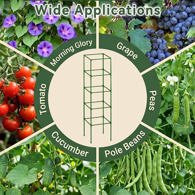 Halatool 2 Pack 72" Tall Square Tomato Cages - Heavy Duty Metal Plant Cage for Indeterminate Tomatoes, Reusable Trellis for Garden Vegetables, Up to 6ft Supports for Peppers, Cucumbers, Raised Beds