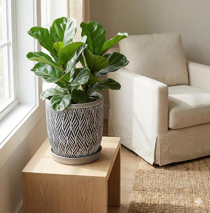 Aspen & Fig Black & White 12 Inch Indoor Ceramic Plant Pot with an Attached Saucer for House Plants, Herbs, Flowers, Succulent Plants, Snake Plants, Gifts for Mom