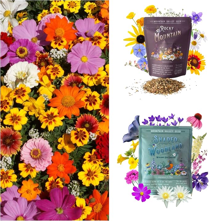 Mountain Valley Seed Co Wildflower Seeds Collection - 500,000+ Bulk Seeds | 6 Wildflower Mixes Including Hummingbird, Butterfly, Monarch, Bee, Shaded Woodland, Rocky Mountain, and Dryland Pollinators