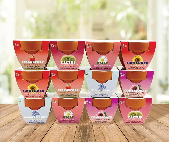 BUZZY Seeds Mini Terracotta Grow Kit, Assorted 12-Pack - Mini Terracotta Pot Grow Set - 100% Grow Guarantee