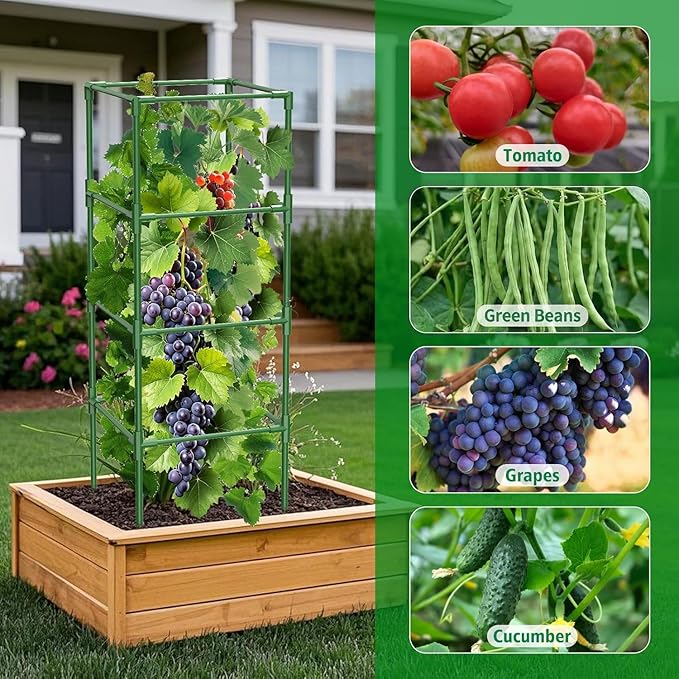 3 Pack Tomato Cages, 42 Inch Heavy Duty Metal Square Tomato Cage for Raised Garden Bed, Rust-Proof Sturdy Tall Tomato Trellis Supports for Climbing Plants Outdoor with Clips Wire