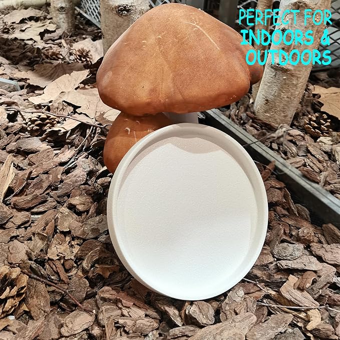 2 Pack Plant Water Catcher Tray - 7 Inch Ceramic Plant Saucer for Indoors/Outdoors, Round Flower Pot Saucer Plant Pot Saucer Plant Drip Trays for Potted Plants Drainage(Frosted White)