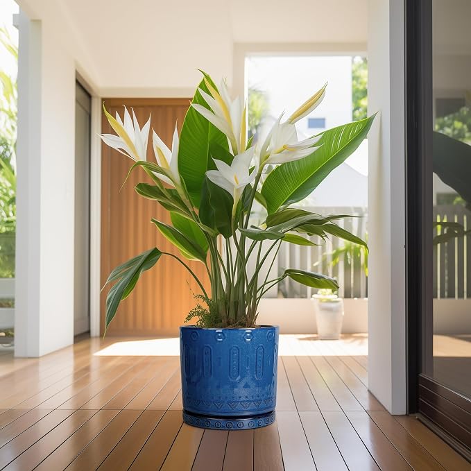 Eightpot Plant Pot Saucer - 11.4 Inch Plant Saucer for Outdoors Ceramic Plant Tray for Indoors No Holes Large Plant Drip Trays Round Flower Pot Saucer Plant Dishes to Catch Water Blue