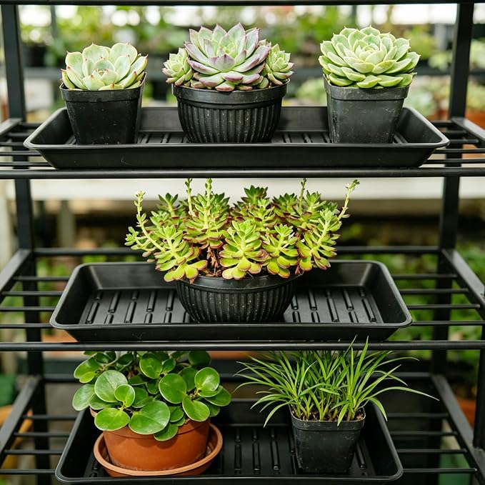 6 Pack Plastic Plant Trays Rectangular 14 Inch, Indoor Outdoor Plant Saucers with Drip Protection, Windowsill Planter Tray, 7 x 14.5 Inches, Black