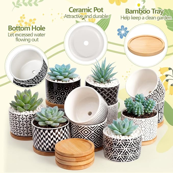 Threehoney 12 Pack 3.14 Inch Ceramic Succulent Pots Geometric Pattern Small Succulent Plant Pots with Drainage Hole and Bamboo Trays Mini Flower Cylinder Pot for Small Plant Cactus Home Office Decor