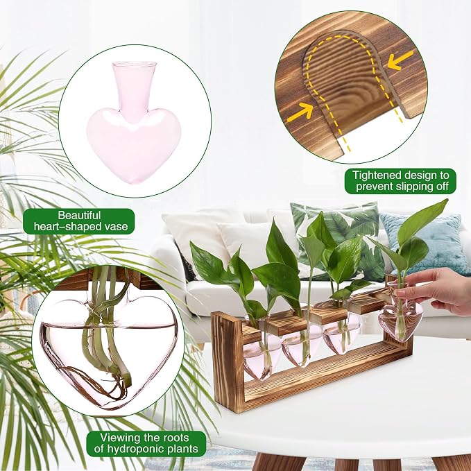 Plant Propagation Stations Heart Plant Terrarium Kit | Gift for Women Plant Lover Glass Vases