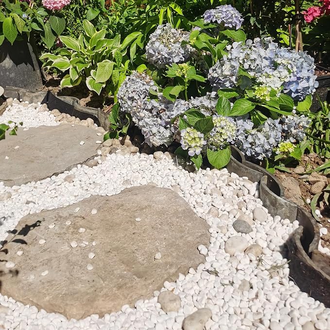 FANTIAN 5 lbs White Pebbles for Indoor Plants, 0.5-1 Inch Pea Gravel Stones for Planters, Decorative River Rocks for Succulent, Cactus, Vases, Aquariums, Crafting and Garden Landscaping