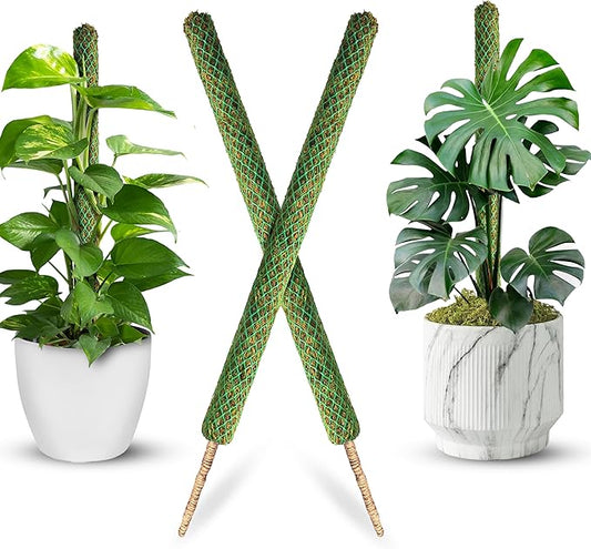 DUSPRO 2 Pack 17’’ Mesh Moss Pole for Climbing Plants, Natural Moss Pole Monstera Plant Support, Real Moss Poles for Plants Indoor, Moss Stick for House Plants, Moss Stakes for Climbing Plants