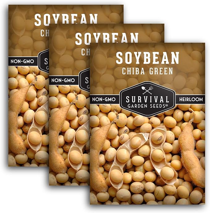 Chiba Green Edamame Seeds for Planting - Non-GMO Heirloom Soybean Variety for Vegetable Gardens - Tender Pods - Survival Garden Seeds (3 Packs)