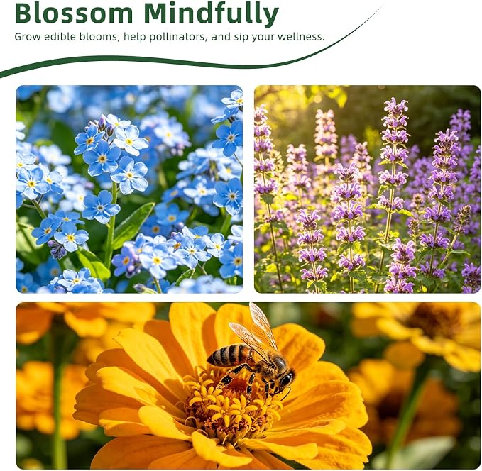 35 Medicinal & Tea Herb Seeds Variety Pack, 18,800+ Premium Garden Seed Vault Kit, Pollinator Friendly, Indoor & Outdoor Year-Round Planting, Lavender, Basil, Cilantro, Peppermint, Chamomile & More