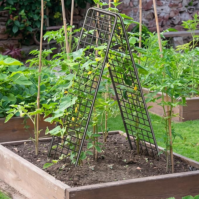 NANANARDOSO 2 Pack Cucumber Trellis, Heavy Duty A-Frame Trellis for Climbing Plants, Metal Garden Trellis Plant Support for Raised Beds, Tomato, Pea, Zucchini.