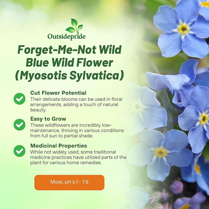 Outsidepride Blue Forget Me Not Seeds - 1/8 lb. Low Growing, Self-Sowing Perennial Flower Seeds for Planting Dense Blue Blooms & Upright Growth Habit for Meadows, Pollinator & Cottage Gardens