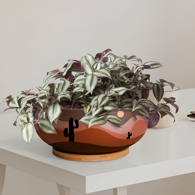 SQOWL 10 Inch Large Terracotta Planter Pot,Clay Succulent Bonsai Planter with Drainage Hole and Bamboo Saucer for Indoor Plants