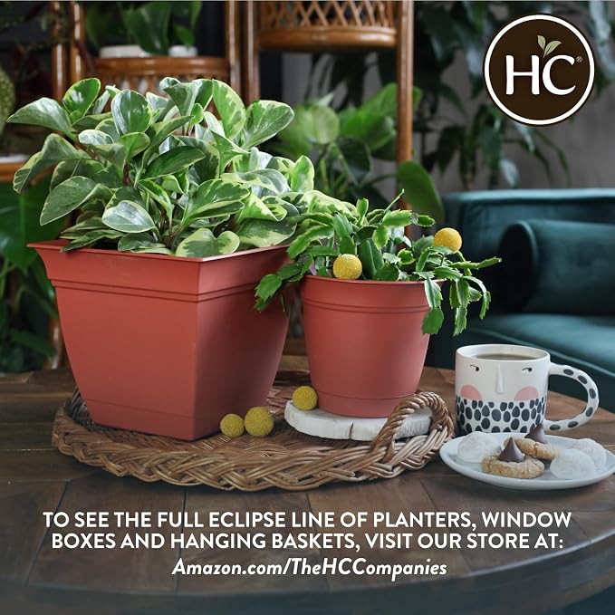 The HC Companies 8 Inch Eclipse Round Planter Pots with Drainage Holes & Attached Saucer, Lightweight UV-Resistant Plastic Indoor & Outdoor Planters, 6-Pack Flower Pots for Garden & Home Decor, Rose