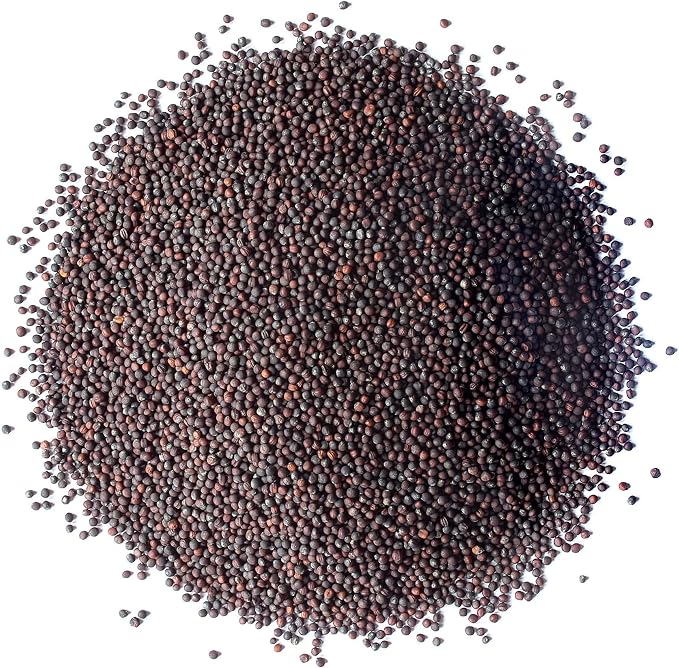 Food to Live Broccoli Seeds for Sprouting, 2.5 Pounds – Vegan, Kosher, Sirtfood, Bulk. Rich in Sulforaphane, Vitamin C, Vitamin A. Great for Growing Sprouts, Microgreens. High Germination Rate