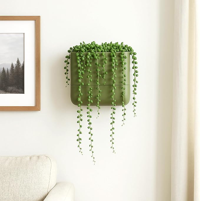 Phoenix Vine 6.5 Inch Wall Mounted Self-Watering Planter Pot for Indoor Houseplants and Herbs | Hanging Planter for Window Sills, Bathroom Walls, Home & Office Décor, Olive, Set of 1, 01-C-F-1