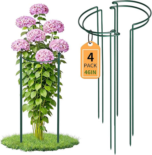 TCBWFY 4 PCS Plant Supports 16" Dx46 H Peony Cages and Supports,6mm Thick Metal Wire Heavy-Duty Garden Stakes for Indoor & Outdoor Plants,Ideal for Peony,Tomato,Hydrangea,Rose